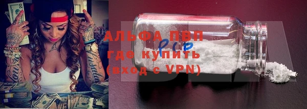 винт Липки