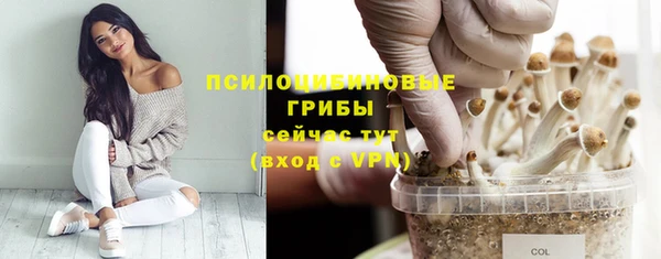 2c-b Ладушкин