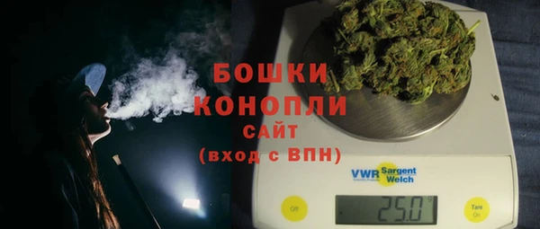 винт Липки