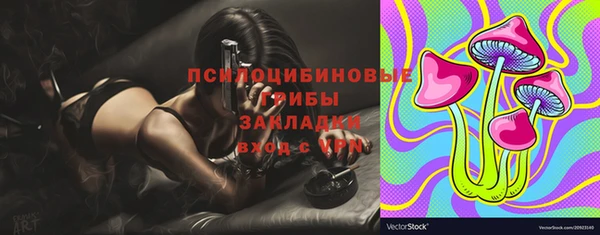 винт Липки