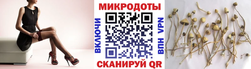 Псилоцибиновые грибы ЛСД Людиново